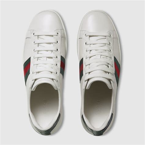 gucci ace low top